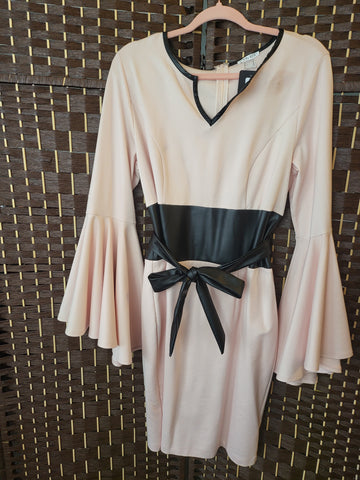 02.06.25 Venus (14) Pink Dress w/Blk VegLeather Trim & Waist Band